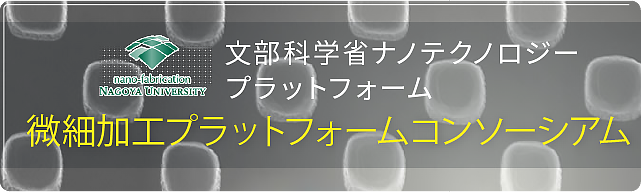 文部科学省ナノテクノロジープラットフォーム　微細加工プラットフォームコンソーシアム