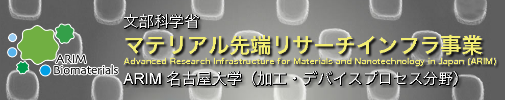 マテリアル先端リサーチインフラ事業